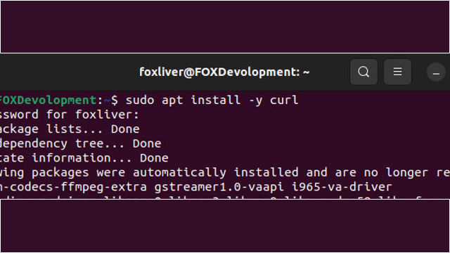 1. sudo apt install -y curl